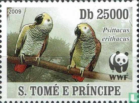 WWF-perroquet gris