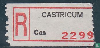 CACTRICUM  Cas 