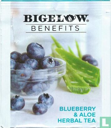 Blueberry & Aloe - Afbeelding 1