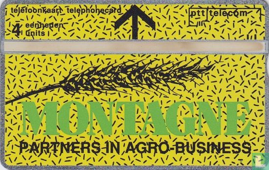 Montagne partners in agro-business - Afbeelding 1