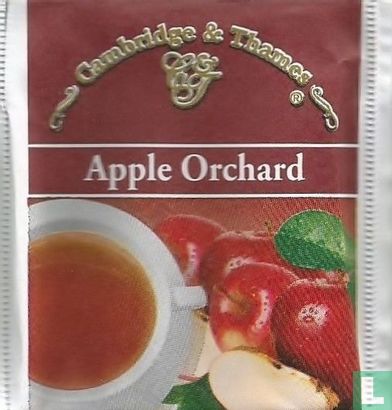 Apple Orchard - Image 1