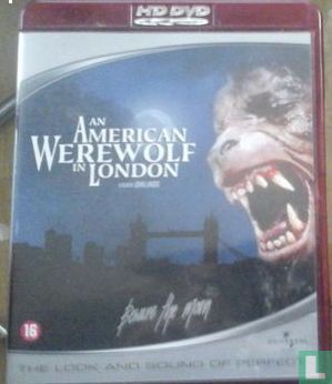 An American Werewolf in London  - Bild 1
