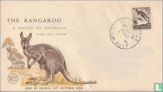 Eastern grey Kangaroo - Image 1