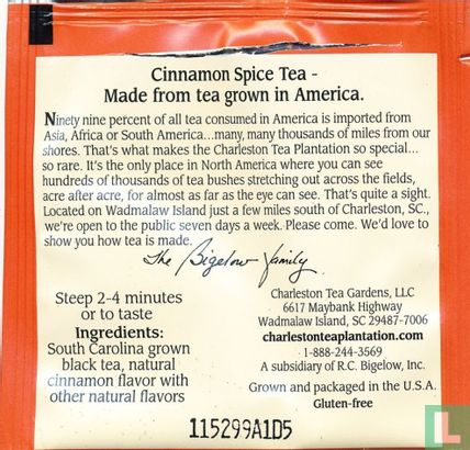Cinnamon Spice Tea - Afbeelding 2