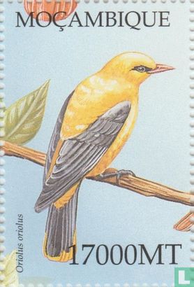 Vögel