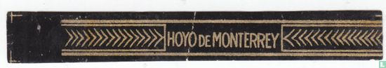 Hoyo de Monterrey - Afbeelding 1