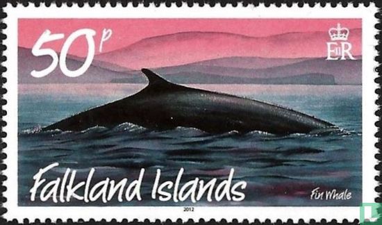 Walvissen en dolfijnen 