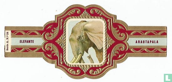 Elefante - Afbeelding 1