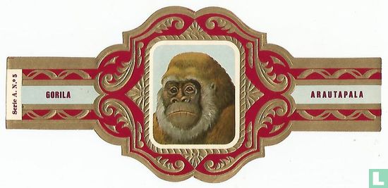 Gorila - Afbeelding 1