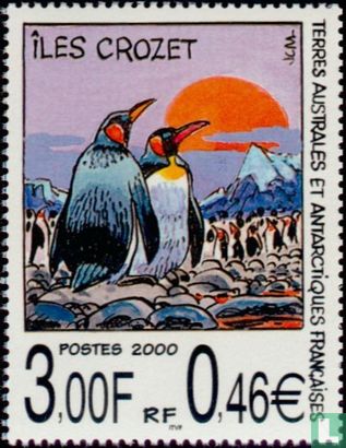 Emperor Penguins on Crozet Islands