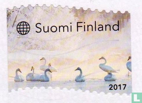 Sound of Silence - Seasons of Finnish Nature