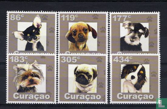 Honden