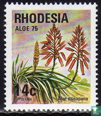Aloe musapana