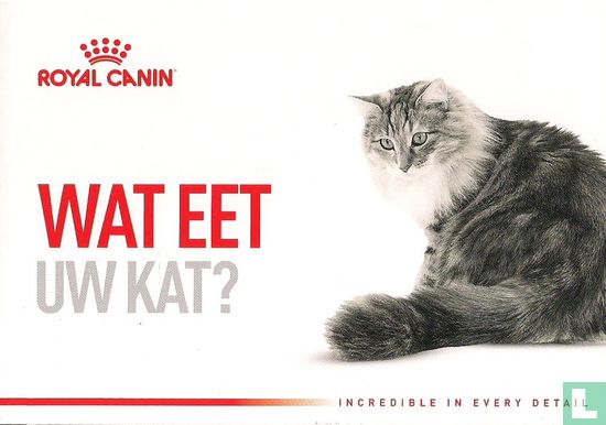 Royal Canin "Wat eet uw kat?" - Afbeelding 1
