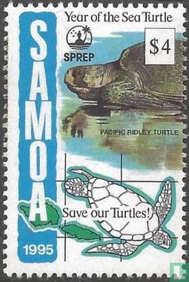 Tortues de mer  