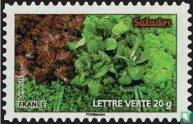 Vegetables (lettuce)