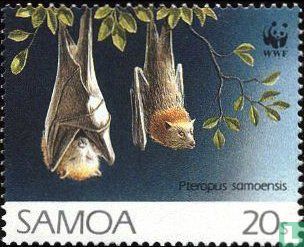 Samoa-Flughund