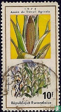 Agricultural Year