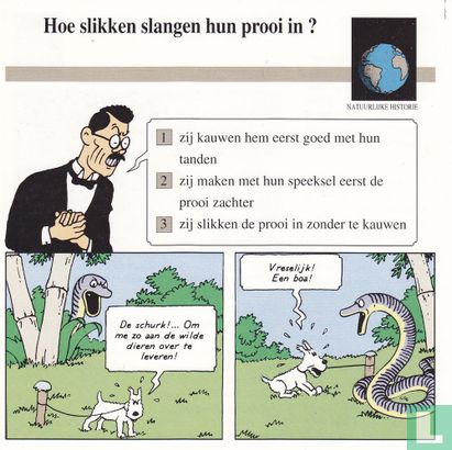 Natuurlijke Historie: Hoe slikken slangen hun prooi in? - Image 1