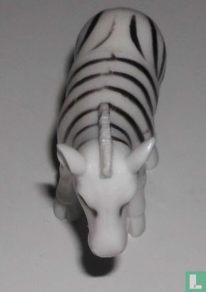 Zebra - Afbeelding 1