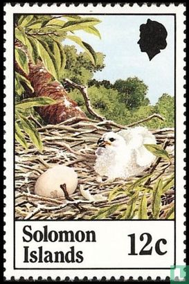 Sanford White-tailed Eagle