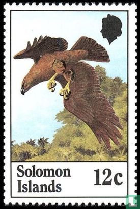 Sanford White-tailed eagle 