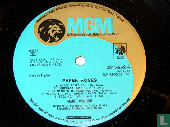 Paper Roses - Afbeelding 3