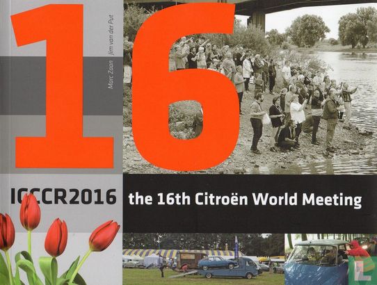 ICCCR 2016 - Bild 1