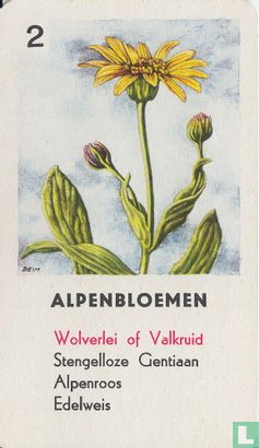 Wolverlei of Valkruid - Afbeelding 1