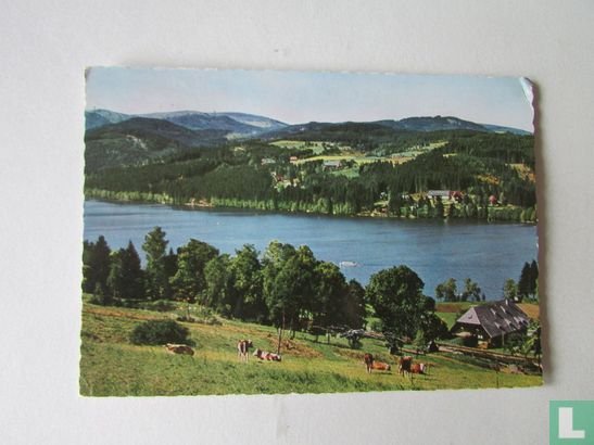 Titisee - Afbeelding 1