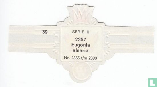 Eugonia alnaria - Afbeelding 2