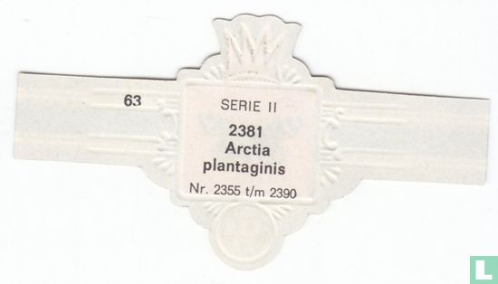 Arctia plantaginis - Bild 2