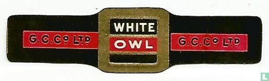 White Owl - GC Co Ltd - GC Co Ltd - Image 1