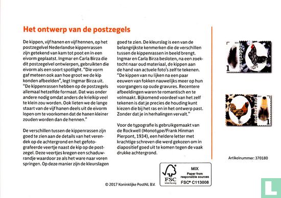Dutch Chicken breeds - Image 3