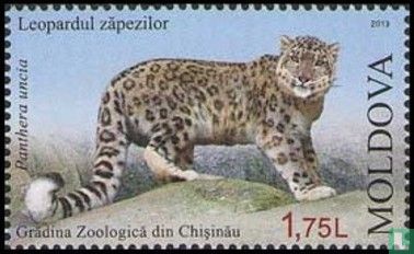 Tiere im Zoo von Chisinau