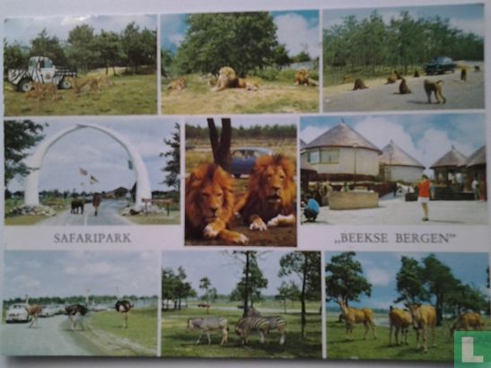 Safaripark "Beekse Bergen" - Bild 1