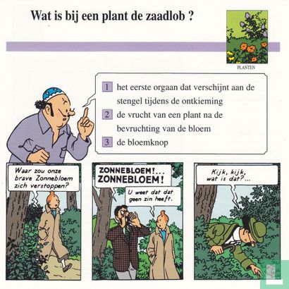 Planten: Wat is bij een plant de zaadlob? - Image 1