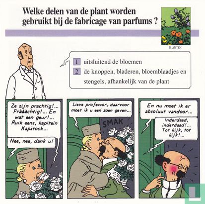 Planten: Welke delen van de plant worden gebruikt bij de fabricage van parfums? - Afbeelding 1