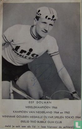 Dolman, Eef