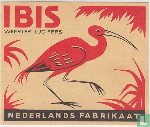 Ibis  - Image 1