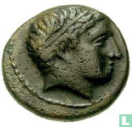 Royaume de Macédoine  AE17  (roi Alexandre III, cheval et Apollo)  336-323 BCE - Image 2