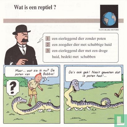 Natuurlijke Historie: Wat is een reptiel? - Image 1