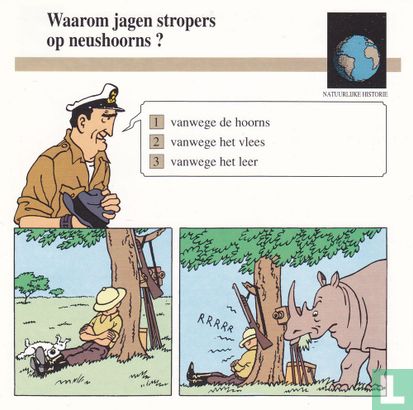 Natuurlijke Historie: Waarom jagen stropers op neushoorns? - Bild 1