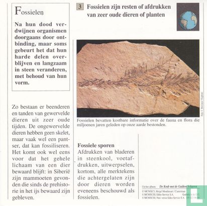 Natuurlijke Historie: Wat zijn fossielen? - Bild 2