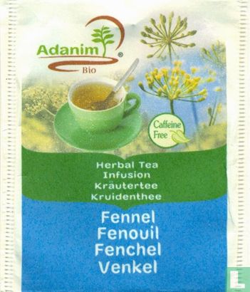 Fennel - Image 1