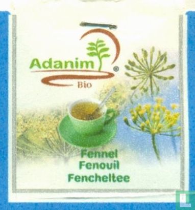 Fennel - Image 3