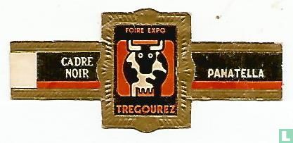 Foire Expo Tregourez - Cadre Noir - Panatella - Image 1