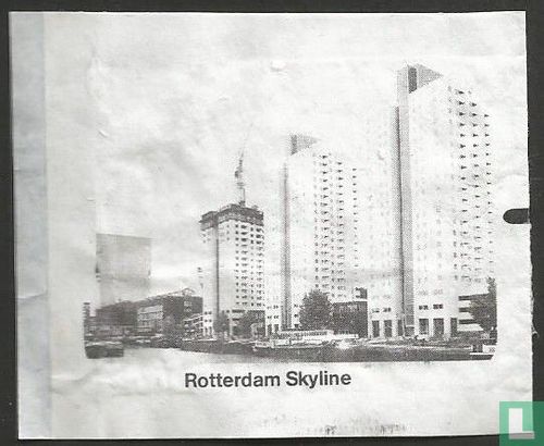 Rotterdam Skyline - Afbeelding 1