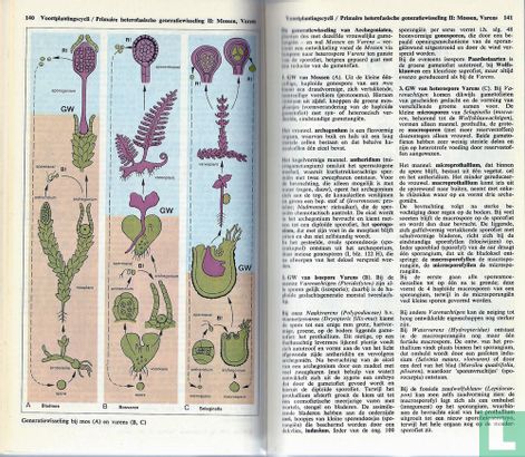 Sesam atlas bij de biologie - Image 3