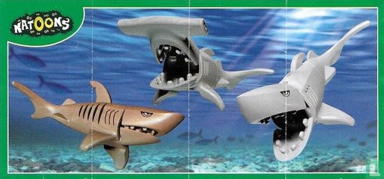 Shark - Image 2